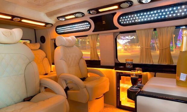 Cu Chi Tunnels & Mekong Delta VIP Tour by Limousine