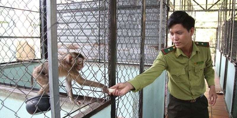 Visit the rescue station to see animals listed in the Red Book